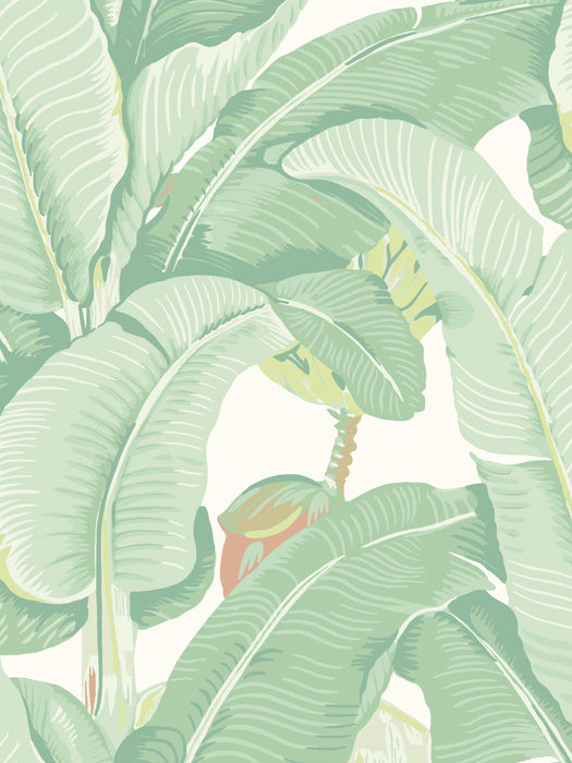 Hinson Hinson Palm Soft Sage Wallpaper Sample WHN44000MD0006