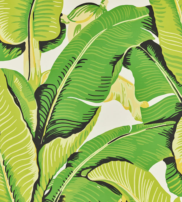 Hinson Hinson Palm Mojito Wallcovering Sample WHN44000M0001