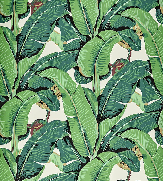 Hinson Hinson Palm - Wide Width Green Wallpaper WHN440000001
