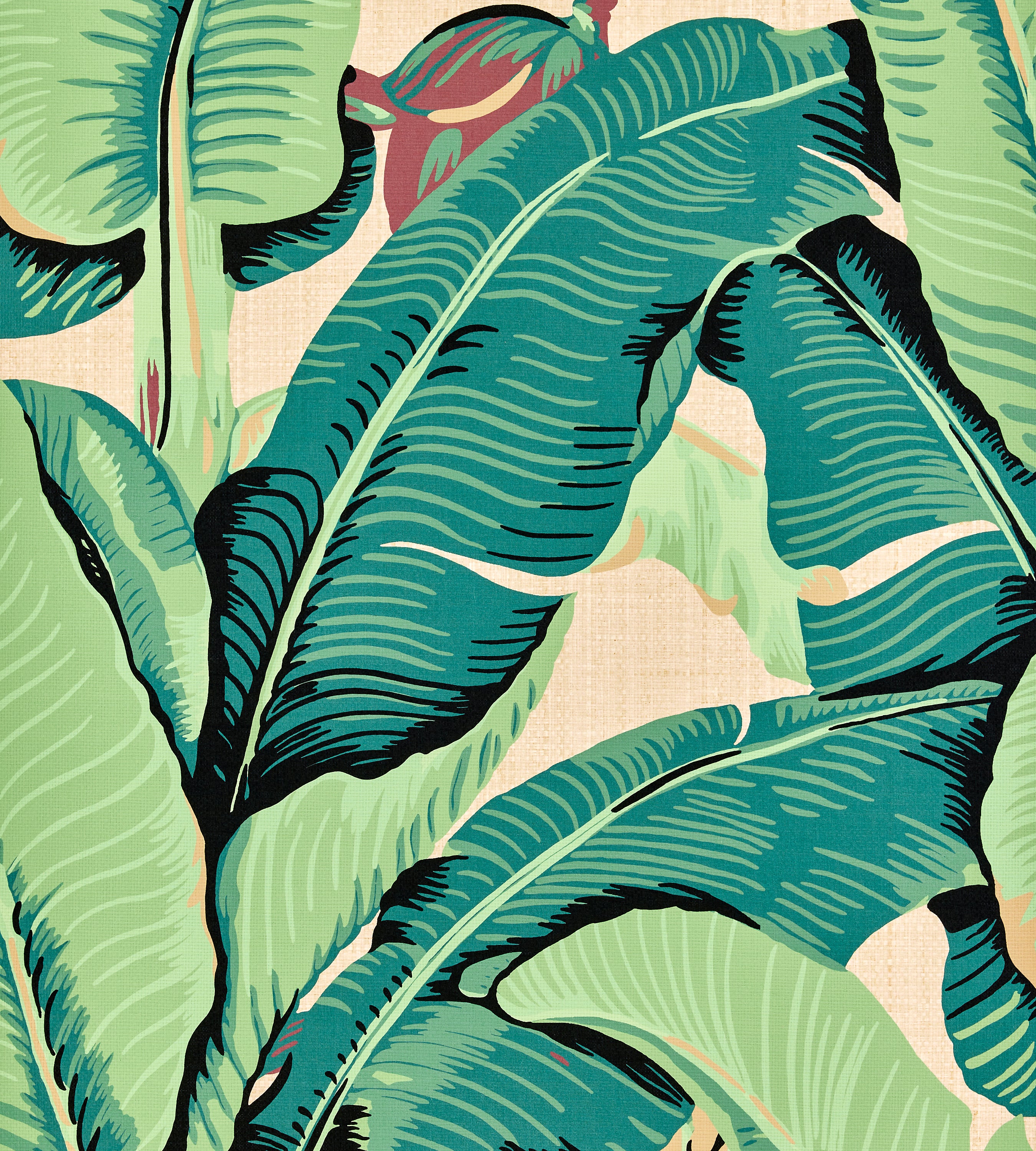 Hinson Hinson Palm - Paperweave Green On Straw Wallcovering Sample WHN440030001