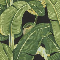 Hinson Hinson Palm Absinthe Wallpaper WHN44000MD0004