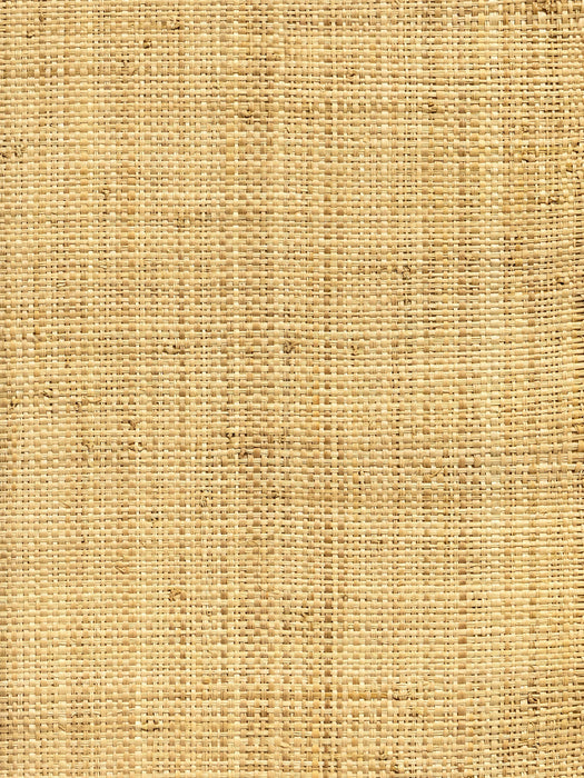 Hinson Madagascar Medium Natural Wallpaper Sample WRR90ABHY03