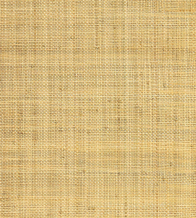 Hinson Hinson Madagascar - Fine Natural Wallpaper Sample WHNY039100AB