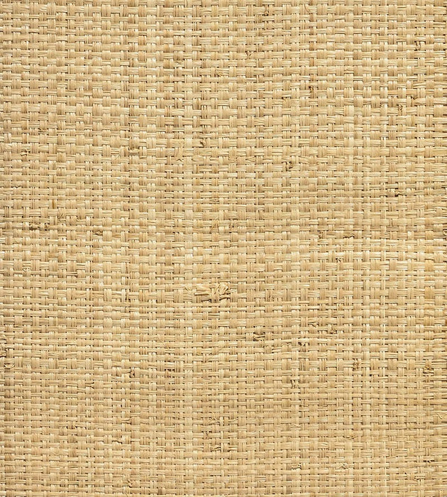 Hinson Hinson Madagascar - Grand Natural Wallpaper Sample WHNY039200AB