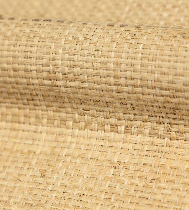 Hinson Hinson Madagascar - Grand Natural Wallpaper Sample WHNY039200AB