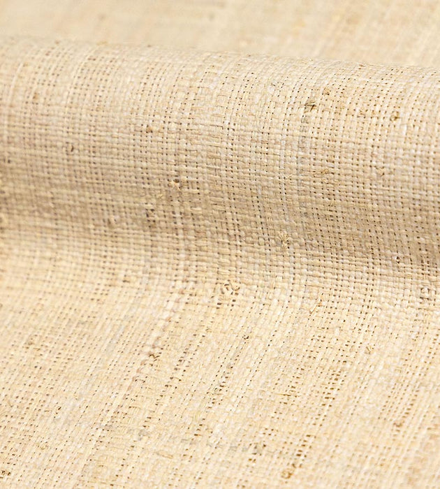Hinson Hinson Madagascar - Fine Whitewashed Wallpaper Sample WHNY039100WB