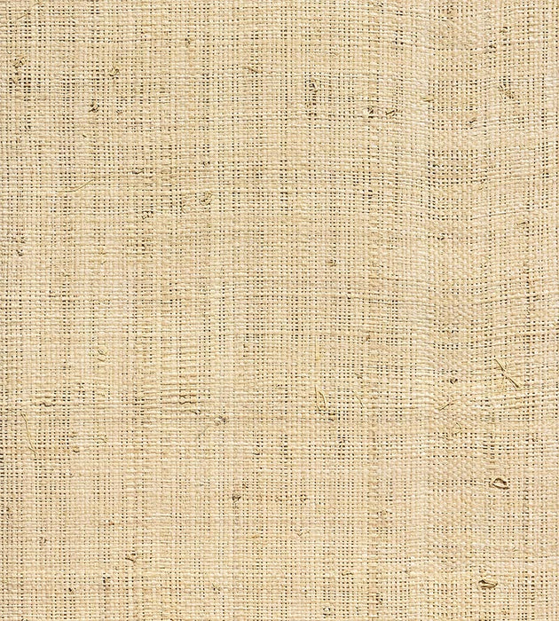 Hinson Hinson Madagascar - Fine Whitewashed Wallpaper Sample WHNY039100WB
