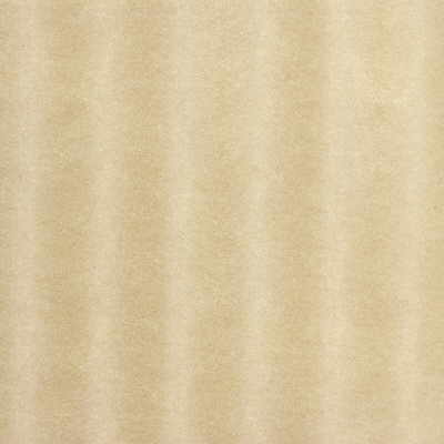 Kravet Couture Whoa Nelly Blonde Fabric Sample WHOA NELLY.1.0