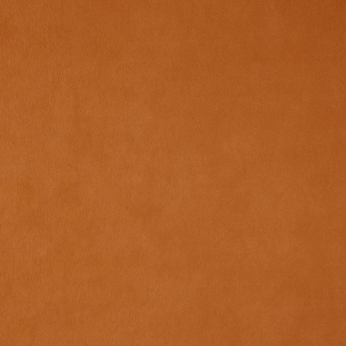 JF Fabrics Wisdom 26 Fabric 5904426