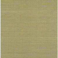 Winfield Thybony Bermuda Celadon Wallpaper WIW2519.WT.0