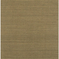 Winfield Thybony Bermuda Moss Wallpaper WIW2524.WT.0