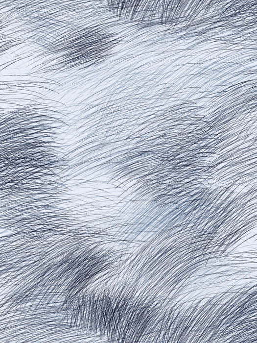 Scalamandre Lepo Sky Wallpaper Sample WJ2251400001