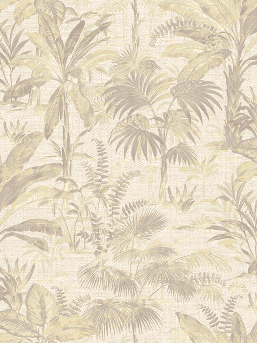 Scalamandre Tropical Sand Wallpaper Sample WJ250100001