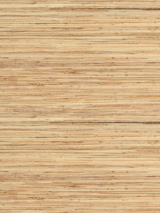 Scalamandre Kru Dune Wallpaper Sample WJ262820002