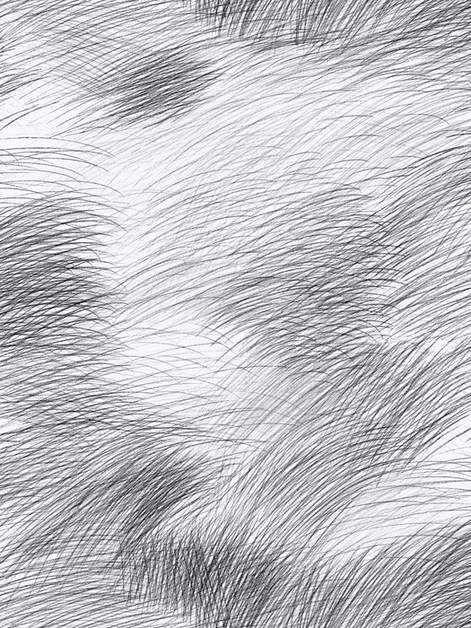 Scalamandre Lepo Domino Wallpaper Sample WJ2251400003