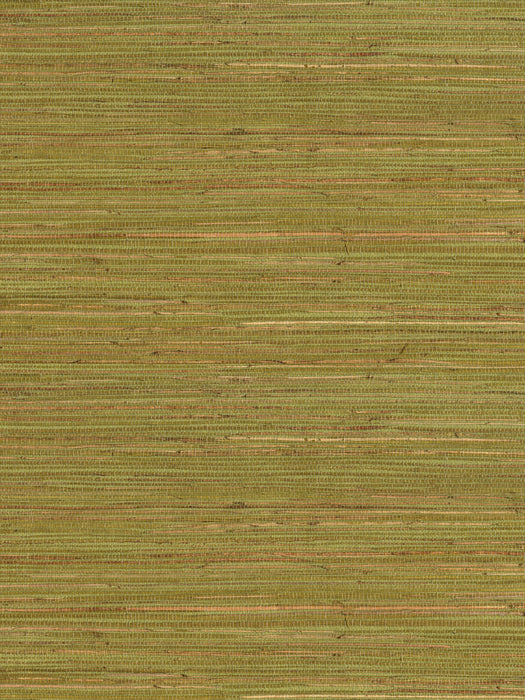 Scalamandre Kru Palm Wallpaper Sample WJ262820008