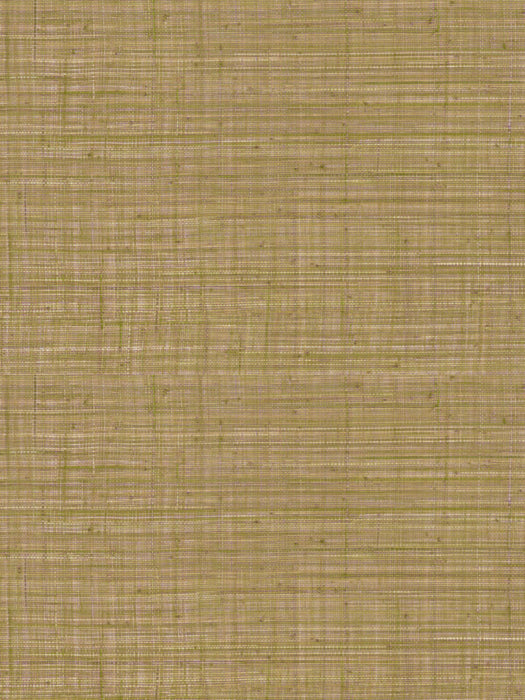 Scalamandre Tierra Prickly Pear Wallpaper Sample WJ266500011