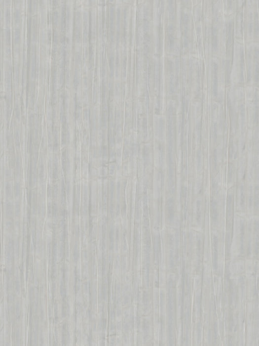 Scalamandre Yucatan Shadow Wallpaper Sample WJ250310012