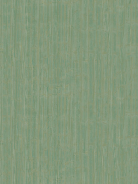 Scalamandre Yucatan Nile Green Wallpaper Sample WJ250310021