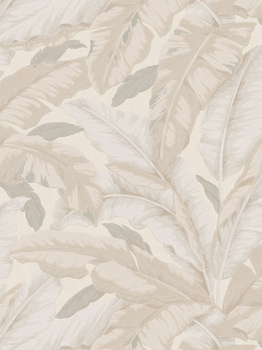 Scalamandre Banane Limestone Wallpaper Sample WJ272250025