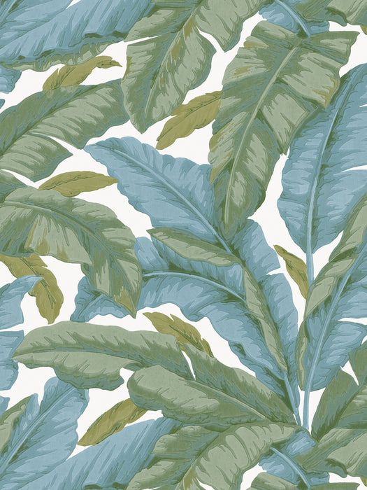 Scalamandre Banane Cobalt And Khaki Wallpaper Sample WJ272250026