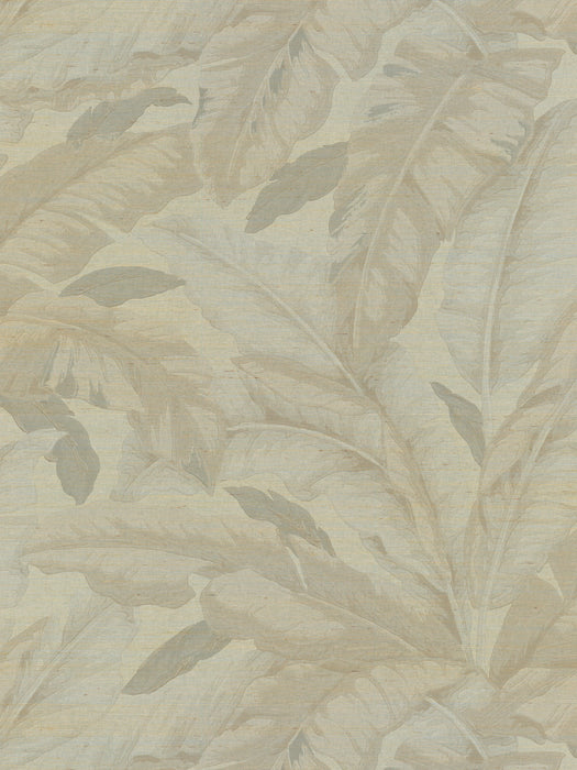 Scalamandre Banane Grasscloth Dune Wallpaper Sample WJ272290029
