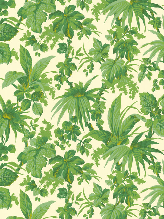 Scalamandre Tropical - Grande Corniche Jungle Wallpaper Sample WJ272750077
