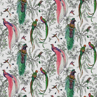 Nicolette Mayer Audubon Exotica Persimmon Wallpaper WNMAUDU0001