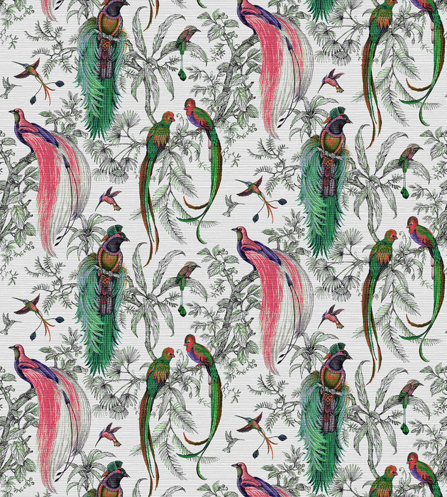 Nicolette Mayer Audubon Exotica Persimmon Wallcovering Sample WNMAUDU0001