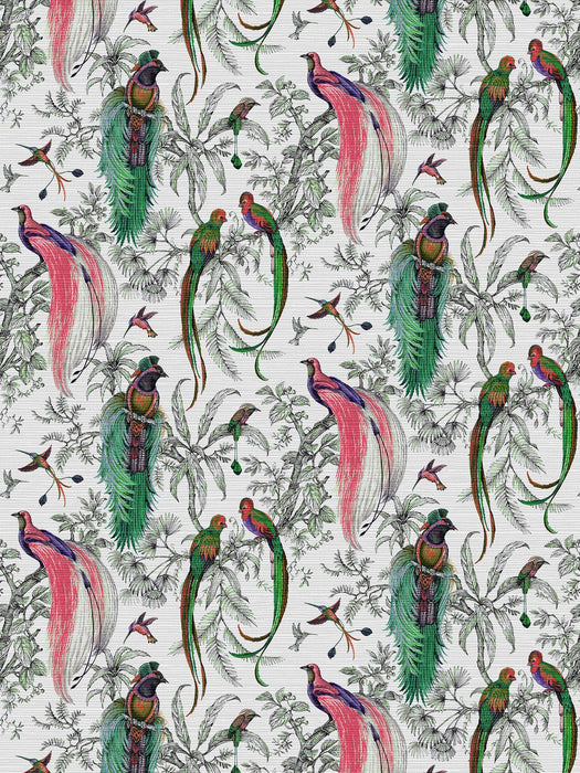 Nicolette Mayer Audubon Exotica Persimmon Wallpaper Sample WNMAUDU0001