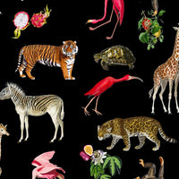 Nicolette Mayer Exotix Black Wallpaper WNMEXOT0001