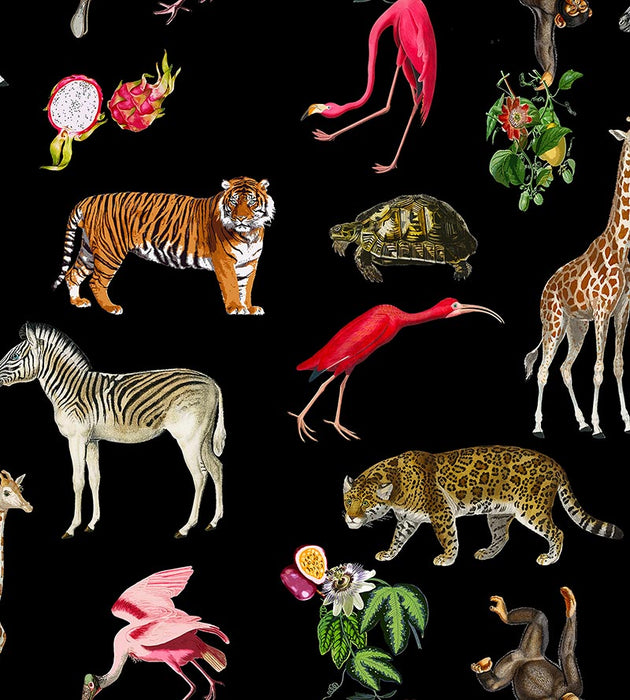 Nicolette Mayer Exotix Black Wallpaper Sample WNMEXOT0001