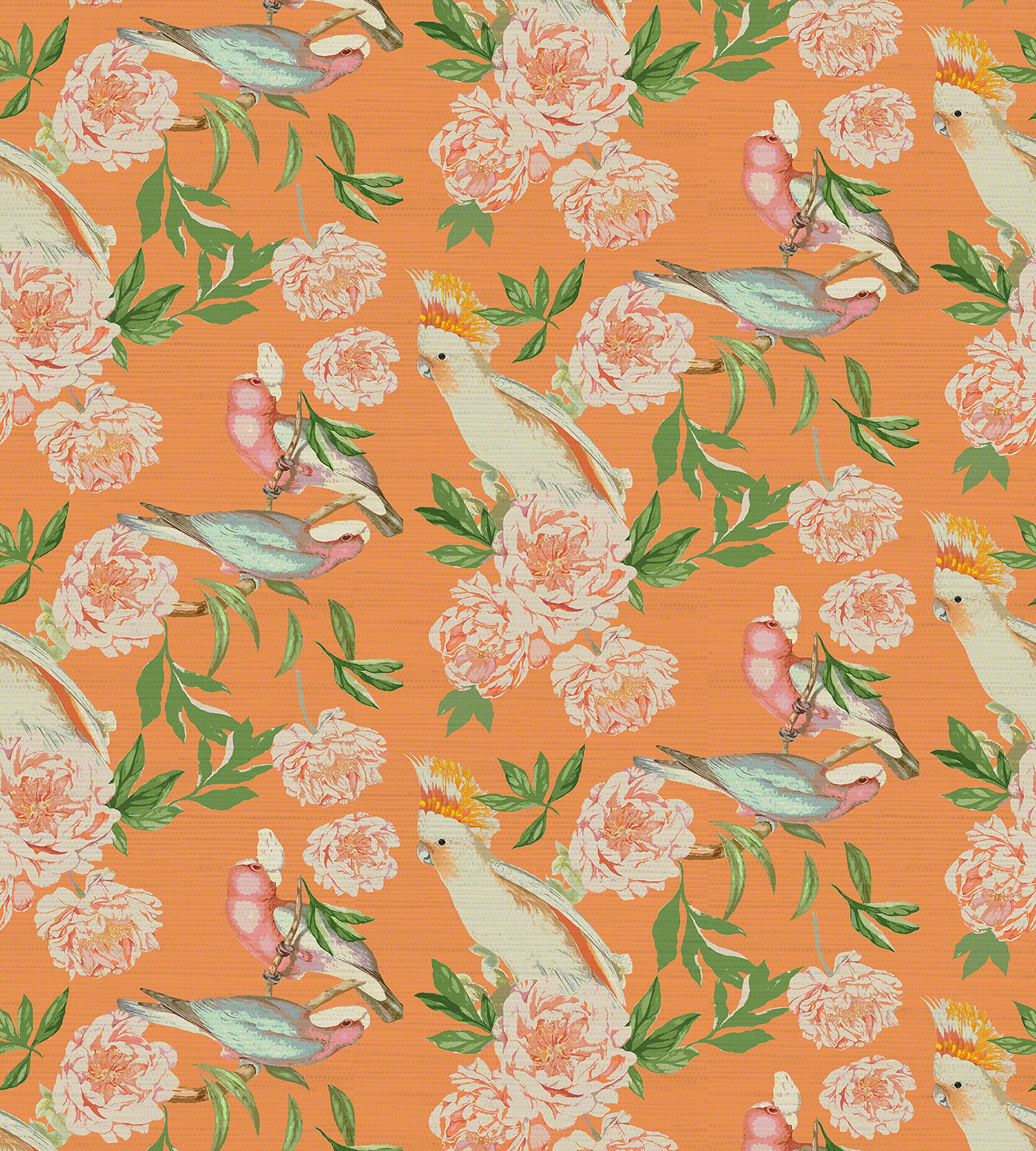 Nicolette Mayer Peony Inspira Bellini Wallcovering Sample WNMPEON0001