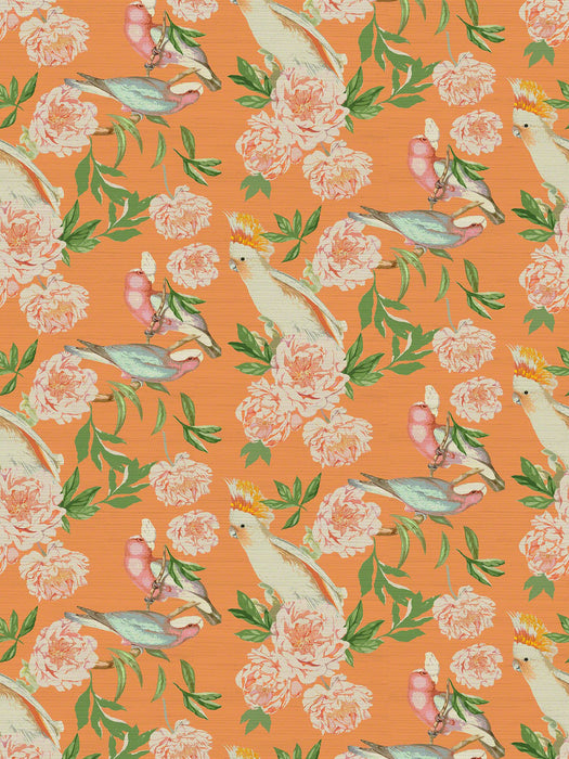 Nicolette Mayer Peony Inspira Bellini Wallpaper Sample WNMPEON0001