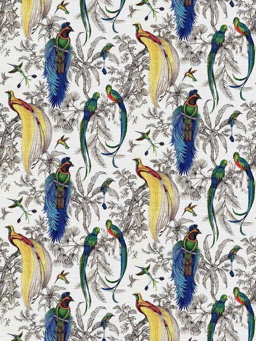 Nicolette Mayer Audubon Exotica Tropical Wallpaper Sample WNMAUDU0002