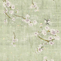 Nicolette Mayer Blossom Fantasia Celadon Wallpaper WNMBLOS1055
