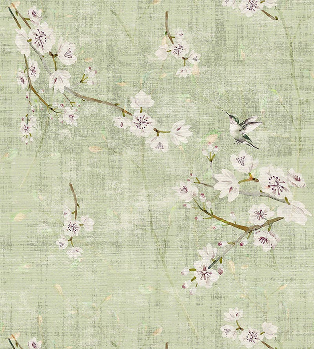 Nicolette Mayer Blossom Fantasia Celadon Wallpaper Sample WNMBLOS1055