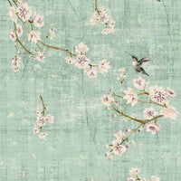 Nicolette Mayer Blossom Fantasia Laduree Wallpaper WNMBLOS1056