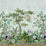 Nicolette Mayer Summer Palace Mural | Set Turquoise Green Wallpaper Sample WNMSUMMSET1