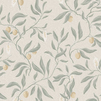 Scalamandre Vinnie Sage Green Wallpaper WSB01900001
