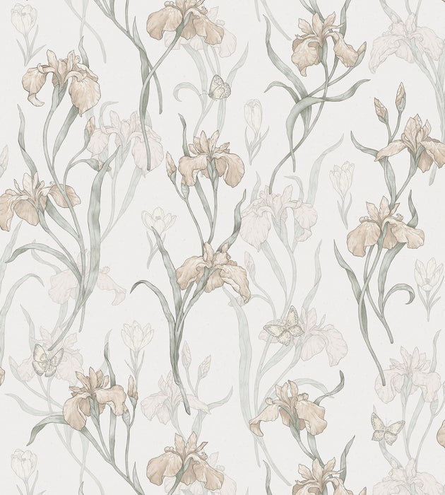 Sandberg Iris Powder Pink Wallcovering Sample WSB010130035