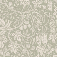 Scalamandre Fig Garden Garden Green Wallpaper WSBFIG0259
