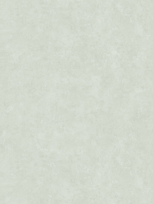 Scalamandre Kalk Garden Green Wallpaper Sample WSBKALK0294