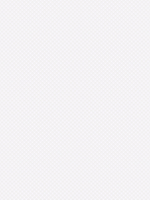 Scalamandre Valv White Wallpaper Sample WSBVALV0296