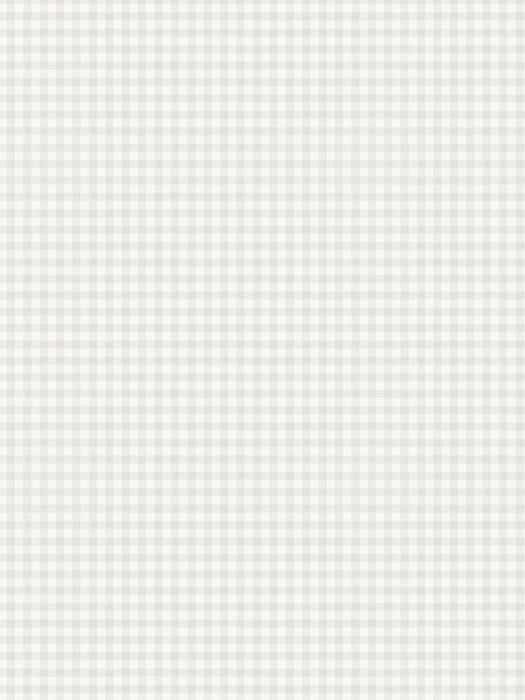 Scalamandre Ruta Gray Wallpaper WSBRUTA0316
