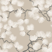 Scalamandre Pine Beige Wallpaper WSB08040326
