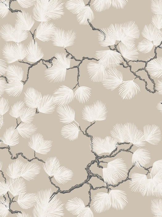 Scalamandre Pine Beige Wallpaper Sample WSB08040326