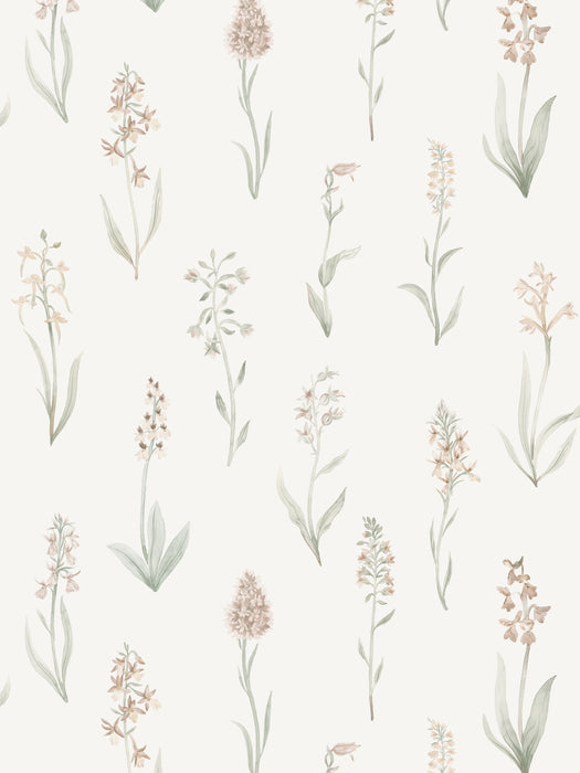 Scalamandre Alma Blush Wallpaper WSBALMA0334