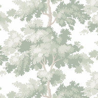 Scalamandre Raphael Light Green Wallpaper WSB04440381