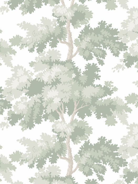 Scalamandre Raphael Light Green Wallpaper Sample WSB04440381